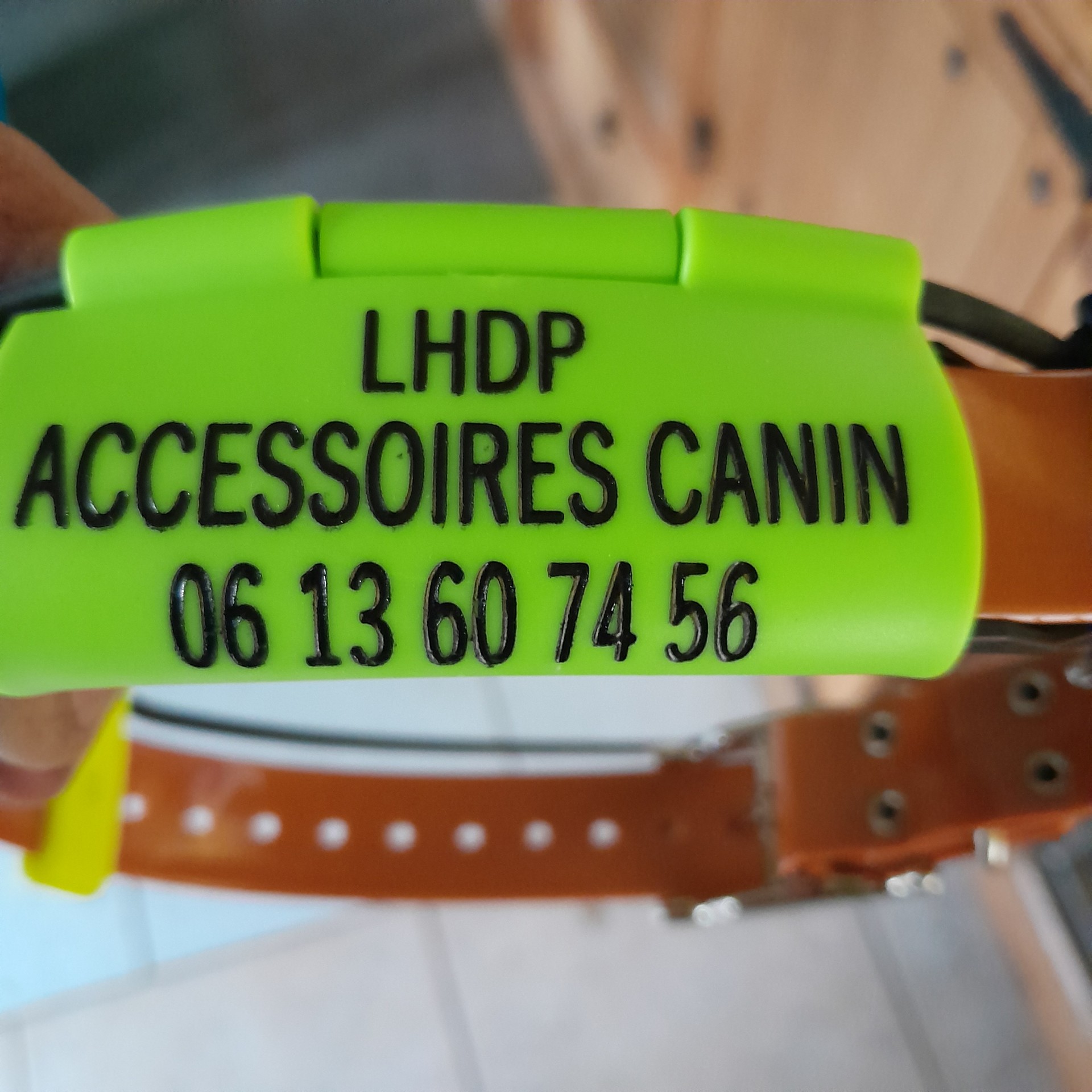 LHDP